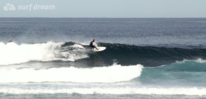 surf fuerteventura